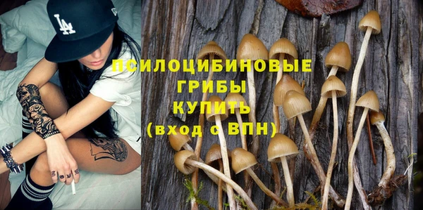 сатива Абинск