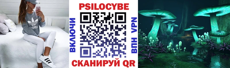 omg ссылка  наркота  Усть-Кут  Псилоцибиновые грибы мицелий 